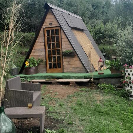 La Fatina Lodge Barga Eksteriør billede