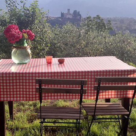 La Fatina Lodge Barga Eksteriør billede