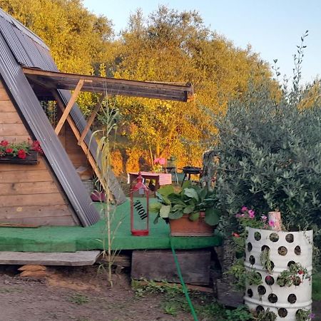 La Fatina Lodge Barga Eksteriør billede