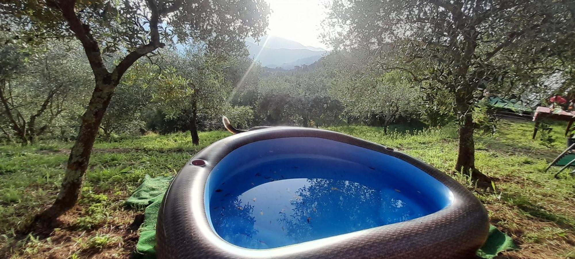 La Fatina Lodge Barga Eksteriør billede