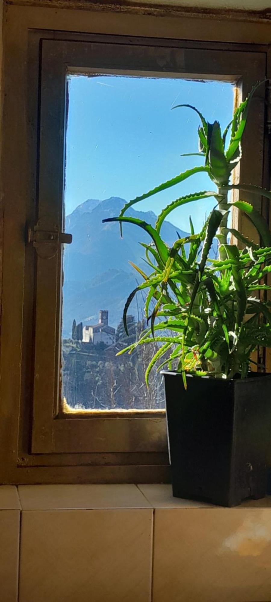 La Fatina Lodge Barga Eksteriør billede